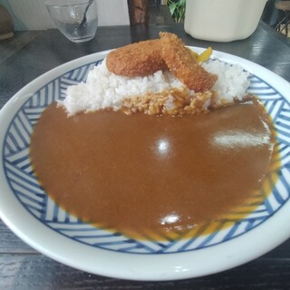 辛口カレーミヤジマ_1