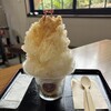 うどんや風一夜薬本舗薬局  住吉大社店