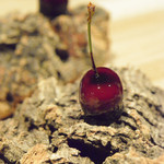 フロリレージュ - 2015/05/22