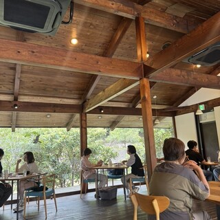 染と茶_2