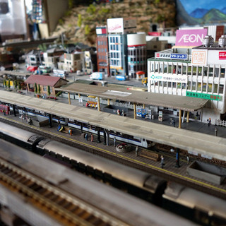 ワイルド フラワー_1