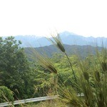 マウンテン＊マウンテン - 窓からの南ア連峰がまさしくmountain mountain