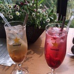 マウンテン＊マウンテン - ミックスベリーサワーソーダ＆ジンジャーソーダ