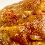 日乃屋カレー - 料理写真:香辛料トッピング(七味を中心にしたもの?)