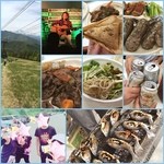 野麦峠スキー場 センターハウスレストラン - トレイルラン無事完走(*✪ฺ∇✪ฺ*)かなりアップダウンキツくて山を舐めてましたwwその後、150人ぐらいで打ち上げ✯⸜(ّᶿ̷ധّᶿ̷)⸝✯シンガーソングライターの高橋ちかっつう人も走ってた！ちまき✨チョリソ✨蕎麦✨ジンギスカン✨岩魚