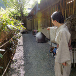 美山荘 - ほら、あそこにいますよ〜♬