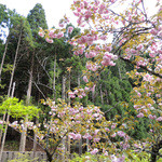 美山荘 - Friday, May 1, 2015