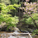 美山荘 - 清流の流れは変わらず