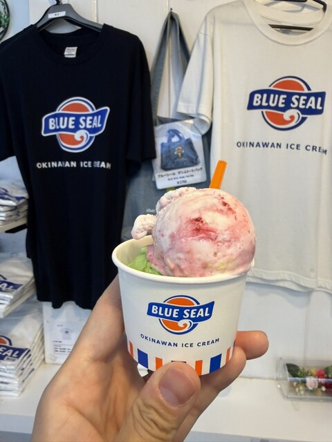 Blue Seal Kokusaidoori ten - Miebashi/Gelato, Ice cream | Tabelog