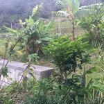 サントリーニ - 