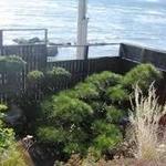 懐石宿  潮里 - 縁側から見たお庭と海