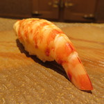 鮨 さいとう - 車海老