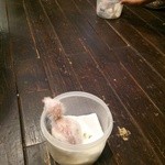 すろーすぺーすcafe - 梟の雛