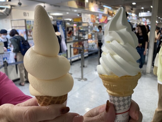 あいすの家とエトセトラ 長沼本店 - 北広島/ジェラート・アイス