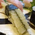 喜久寿司 - 特上握り
