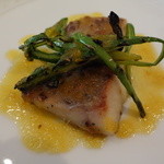 フォリオリーナ・デッラ・ポルタ・フォルトゥーナ - 