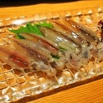 すし処 錦 - 生の蛍烏賊