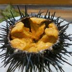 寿司栄 - 27年5月　活きムラサキウニ