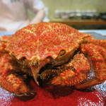 寿司栄 - 27年5月　トゲクリガニ