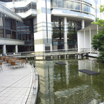 日本料理　彩 - 中庭に水辺が