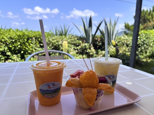 石垣島フルーツランド - 石垣市/ジューススタンド | 食べログ