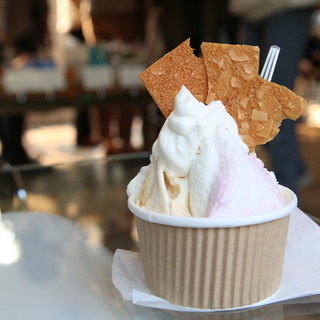 アルトラーチェ_1