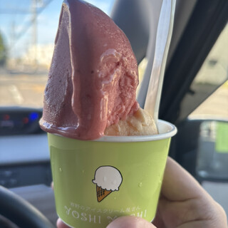 YOSHI YOSHI_1
