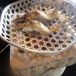 焼物　稚鮎　塩焼き二丁　