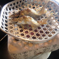 京都 吉兆 嵐山本店 - 焼物　稚鮎　塩焼き二丁　