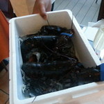 トラットリア グランボッカ - 