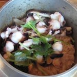 鴨鶴 - 地蛸の釜飯