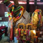 Beergarden - 店内に樹が生えてます。精霊をお祀りしてるみたい。