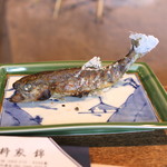 柳家 - あまご（皐月鱒）　(2015/05)