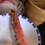 Hamayakidokoro Ichi - ﾊﾞﾙﾒﾆｭｰ(車海老の浜焼き+刺身2種、芋焼酎と)