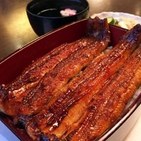 恵比寿亭 - 酔っ払いうなぎのいかだ二枚重