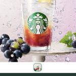 スターバックス・コーヒー - ドリンク写真: