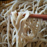 絹の里 - 蕎麦ランチ～すし彩セット￥1458の十割蕎麦（H27.5.25撮影）