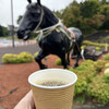 岩見沢サービスエリア（下り線） - ドリンク写真: