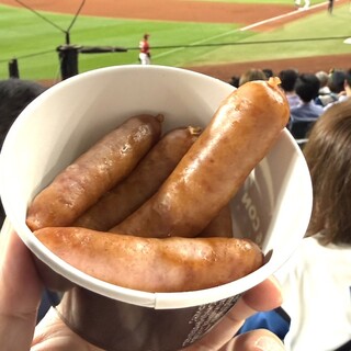 HOTDOG FUN_0