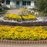 Ostu - 代々木公園の花壇