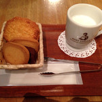 アントステラ - 