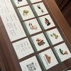 Gelateria Queen'z Spoon