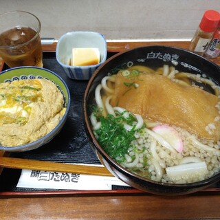 白たぬき_1