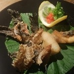 ほっとし亭 - カサゴ