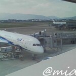 ANAラウンジ - ドリンク写真: