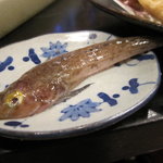 新和食 きくい - がっちょ