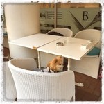 Butter - テラス席 ペット