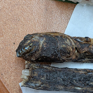 吉野ヶ里歴史公園 レストラン - 料理写真: