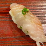 鮨匠 のむら - 歯鰹