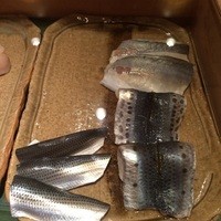鮨龍尚 - 